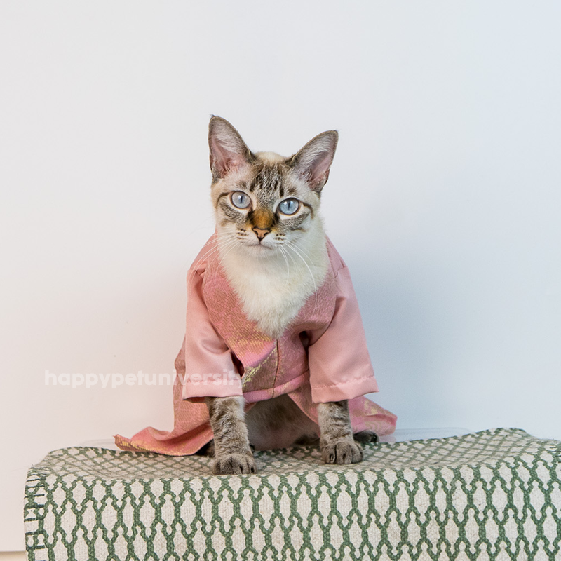 [BUATAN MAS] SALMON Premium Baju Kebaya Kucing Baju Kurung Baju Raya Kucing Raya Aidilfitri Pet Clothing Costume