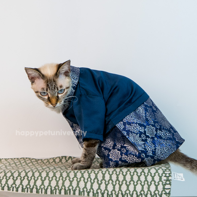 [BUATAN MAS] ROYAL BLUE Premium Baju Kebaya Kucing Baju Kurung Baju Raya Kucing Raya Aidilfitri Pet Clothing Costume