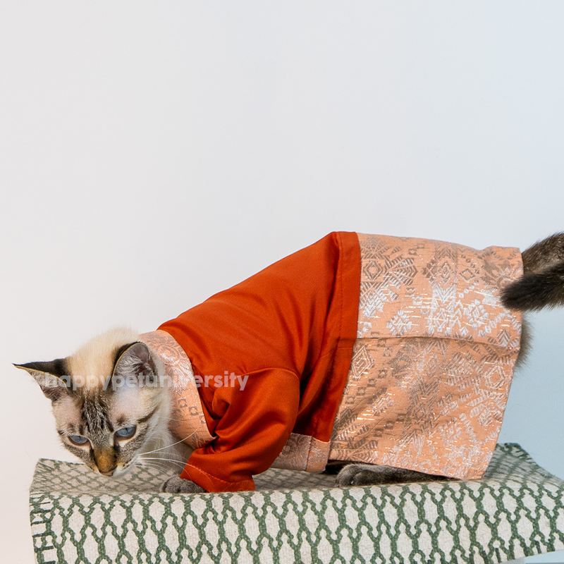 [BUATAN MAS] CARROT Premium Baju Kebaya Kucing Baju Kurung Baju Raya Kucing Raya Aidilfitri Pet Clothing Costume