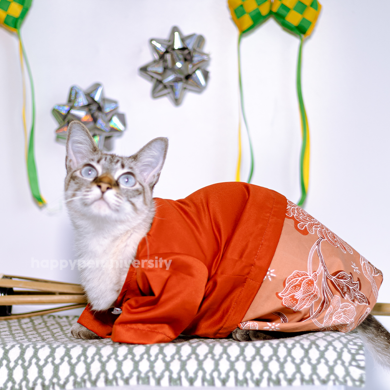 [BUATAN MAS] ORANGE Premium Baju Kurung Kucing Baju Melayu Baju Raya Kucing Raya Aidilfitri Pet Clothing Costume