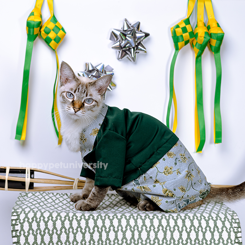 [BUATAN MAS] GREEN Premium Baju Kebaya Kucing Baju Melayu Baju Raya Kucing Raya Aidilfitri Pet Clothing Costume