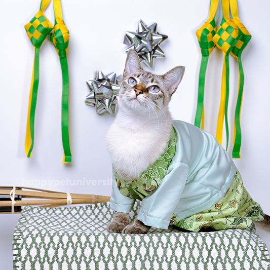 [BUATAN MAS] MINT Premium Baju Kebaya Kucing Baju Melayu Baju Raya Kucing Raya Aidilfitri Pet Clothing Costume