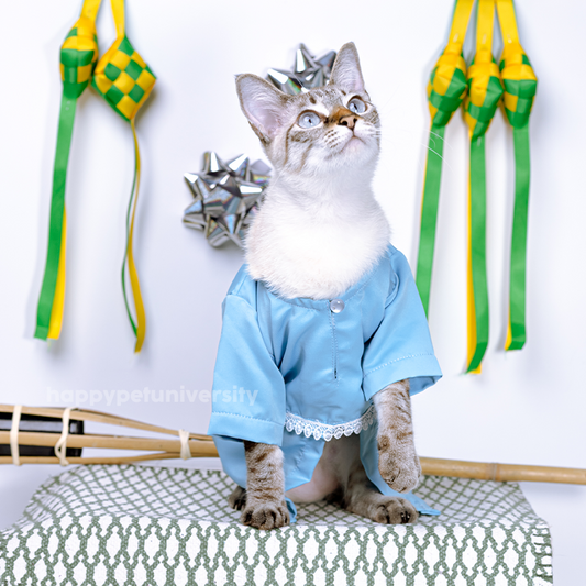 [BUATAN MAS] BLUE Premium Baju Kurung Kucing Baju Melayu Baju Raya Kucing Raya Aidilfitri Pet Clothing Costume