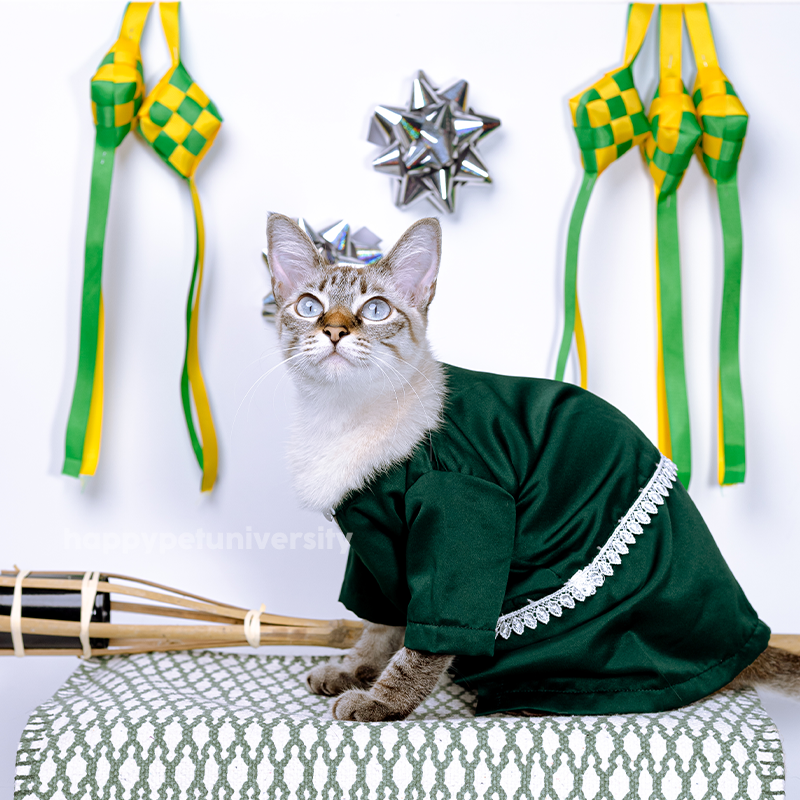 [BUATAN MAS] GREEN Premium Baju Kurung Kucing Baju Melayu Baju Raya Kucing Raya Aidilfitri Pet Clothing Costume