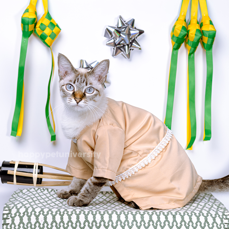 [BUATAN MAS] PEACH Premium Baju Kurung Kucing Baju Melayu Baju Raya Kucing Raya Aidilfitri Pet Clothing Costume