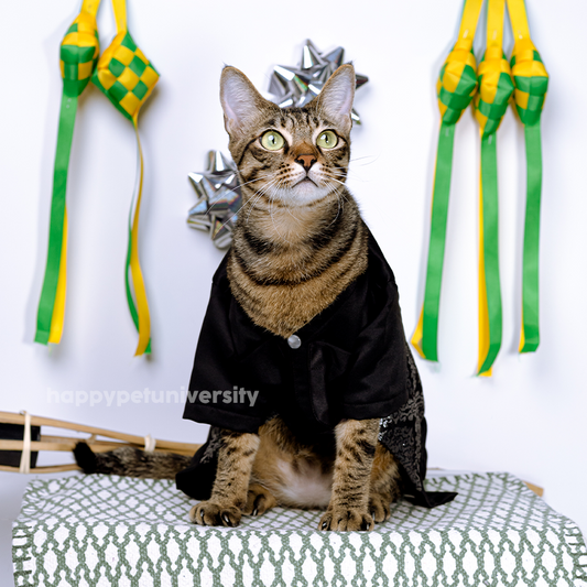 [BUATAN MAS] BLACK Premium Baju Melayu Kucing Baju Kurung Baju Raya Kucing Raya Aidilfitri Pet Clothing Costume