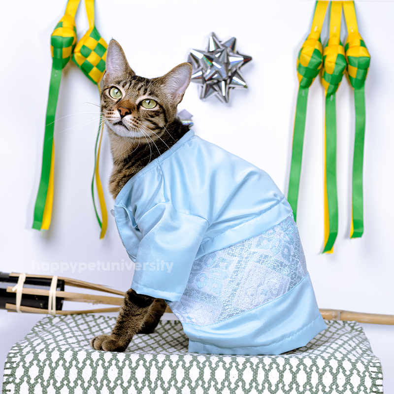 [BUATAN MAS] BLUE Premium Baju Melayu Kucing Baju Kurung Baju Raya Kucing Raya Aidilfitri Pet Clothing Costume