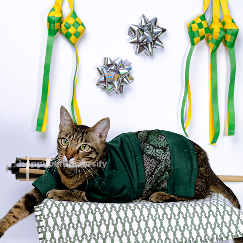 [BUATAN MAS] GREEN Premium Baju Melayu Kucing Baju Kurung Baju Raya Kucing Raya Aidilfitri Pet Clothing Costume