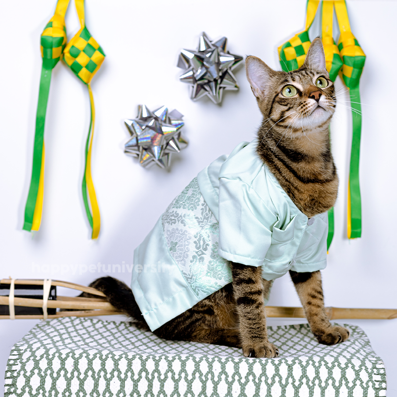 [BUATAN MAS] MINT Premium Baju Melayu Kucing Baju Kurung Baju Raya Kucing Raya Aidilfitri Pet Clothing Costume