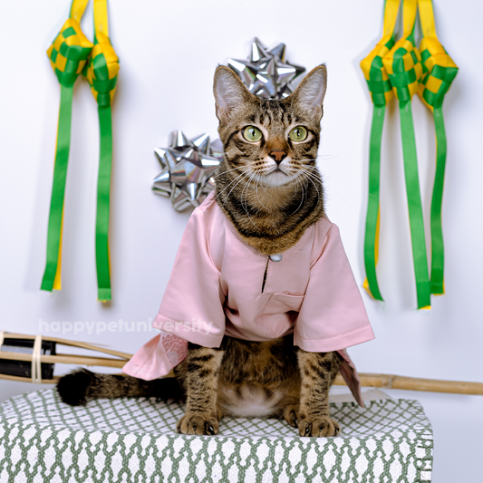 [BUATAN MAS] PINK Premium Baju Melayu Kucing Baju Kurung Baju Raya Kucing Raya Aidilfitri Pet Clothing Costume