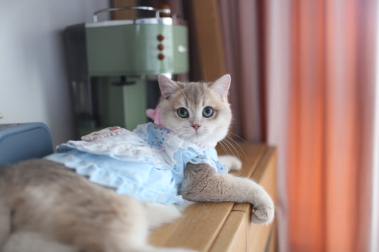 Sanrio Layered Baby Blue Lacey Cinnamoroll Lolita Dress