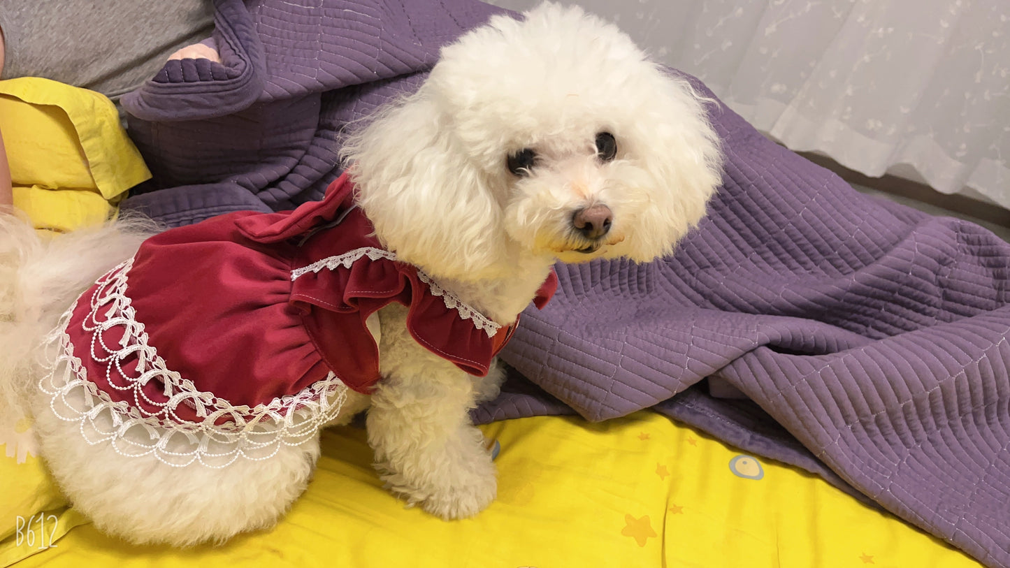 Red Queen Ribbon Lolita Lacey Dress