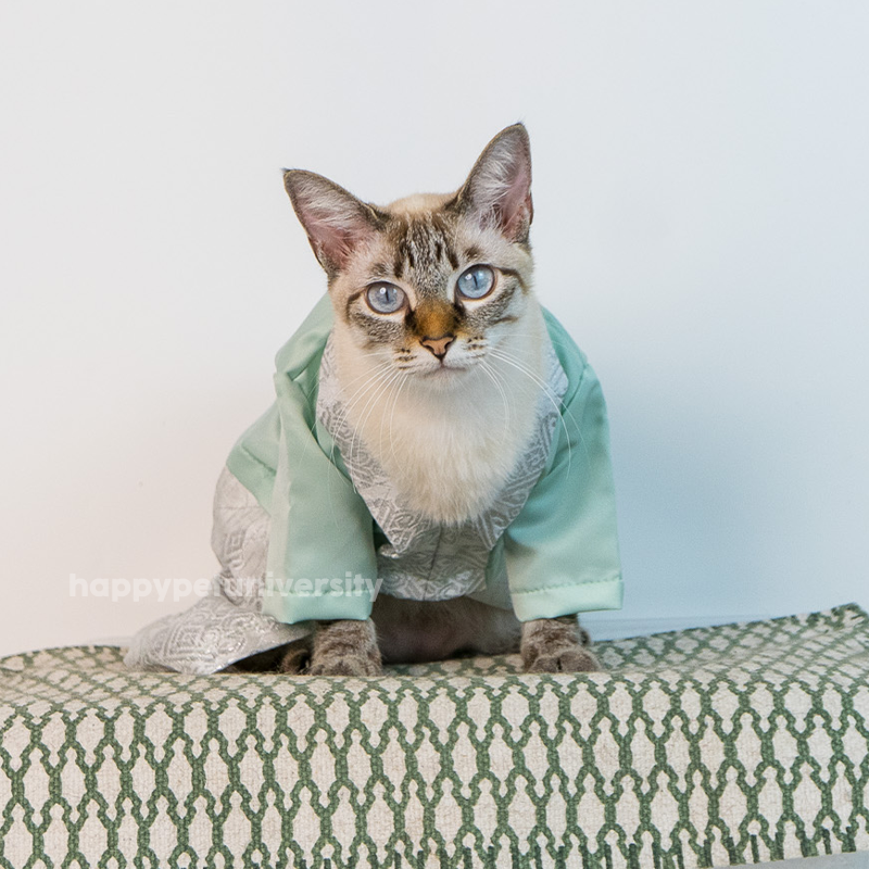 [BUATAN MAS] GREEN TEA Premium Baju Kebaya Kucing Baju Kurung Baju Raya Kucing Raya Aidilfitri Pet Clothing Costume