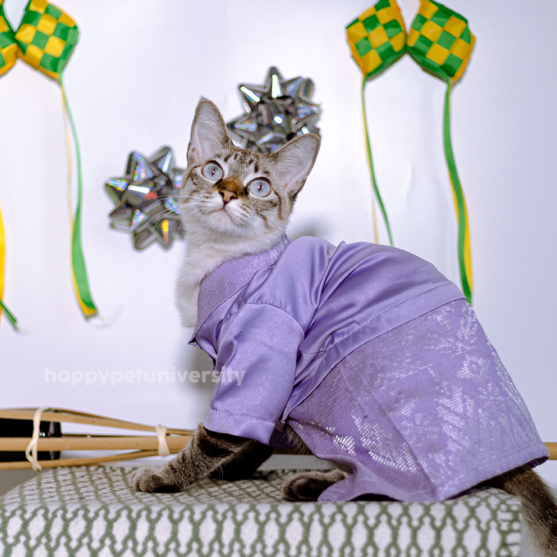 [BUATAN MAS] PURPLE Premium Baju Kebaya Kucing Baju Kurung Baju Raya Kucing Raya Aidilfitri Pet Clothing Costume