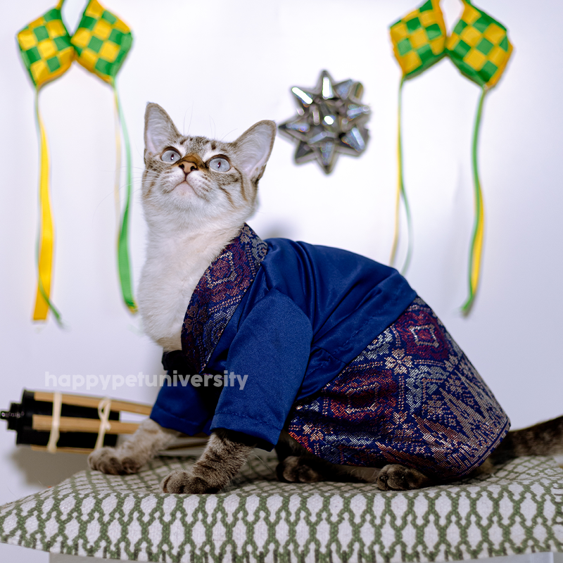 [BUATAN MAS] Dark Blue Premium Baju Kebaya Kucing Baju Melayu Baju Raya Kucing Raya Aidilfitri Pet Clothing Costume