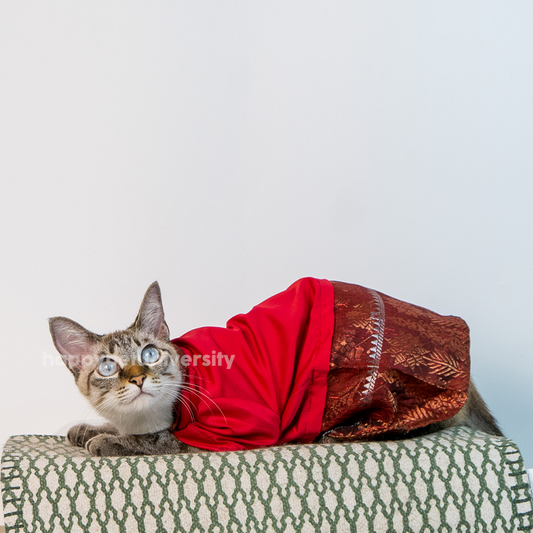 [BUATAN MAS] RED Premium Baju Kebaya Kucing Baju Kurung Baju Raya Kucing Raya Aidilfitri Pet Clothing Costume